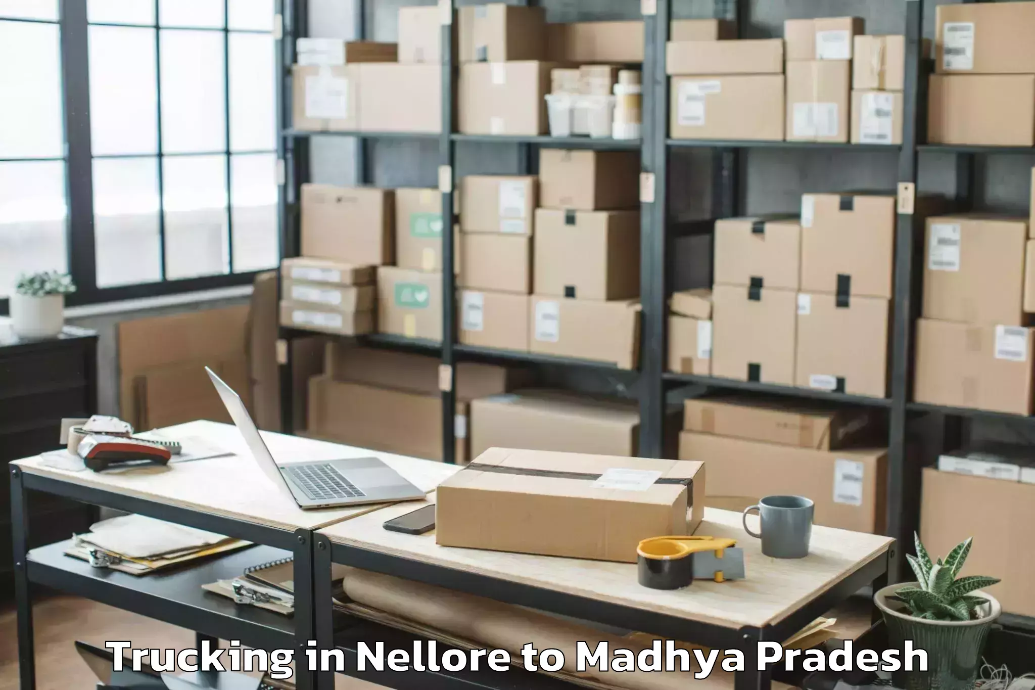 Book Nellore to Dabra Trucking Online